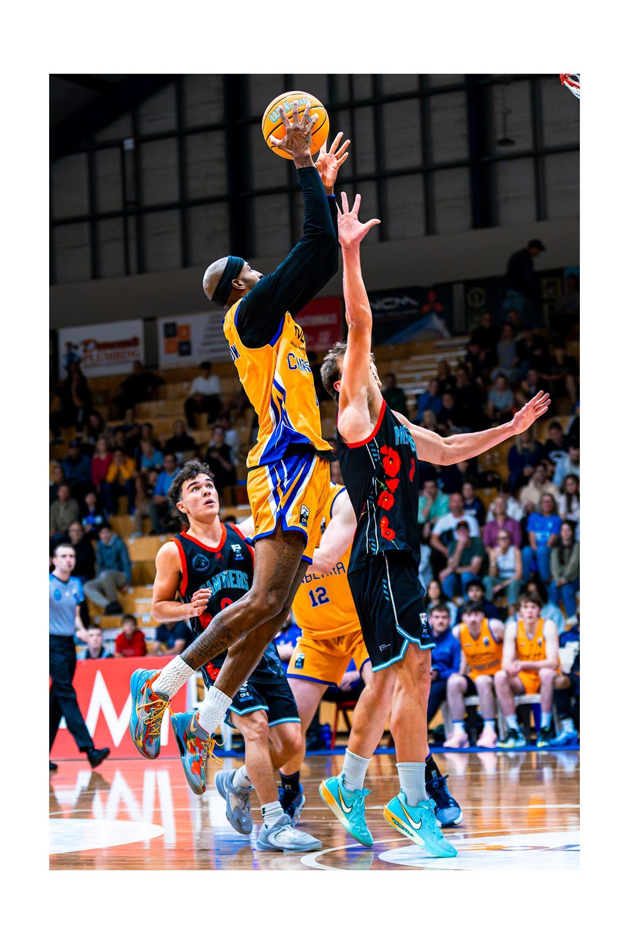 Canberra Gunners, frame 11