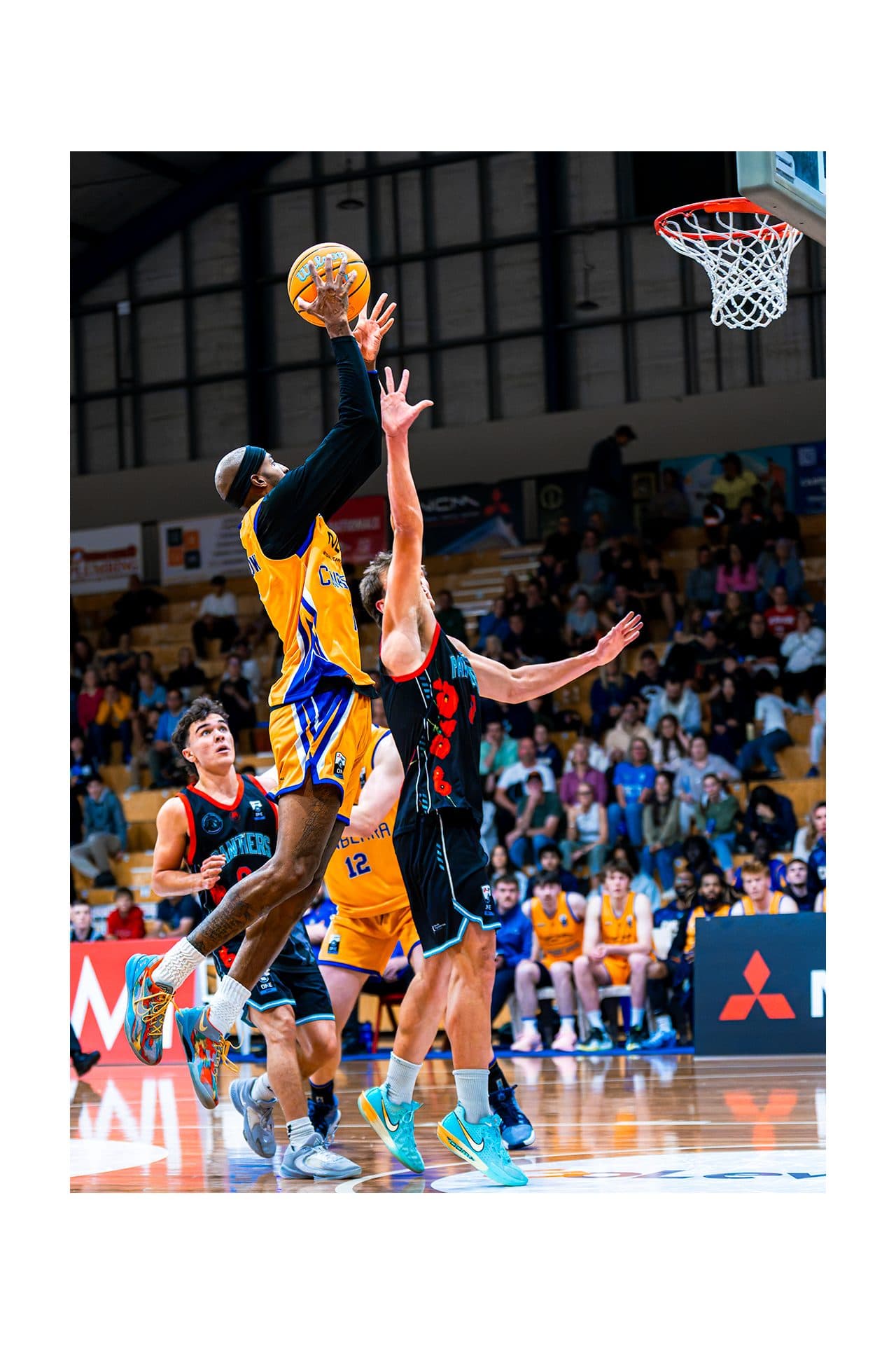 Canberra Gunners, frame 17