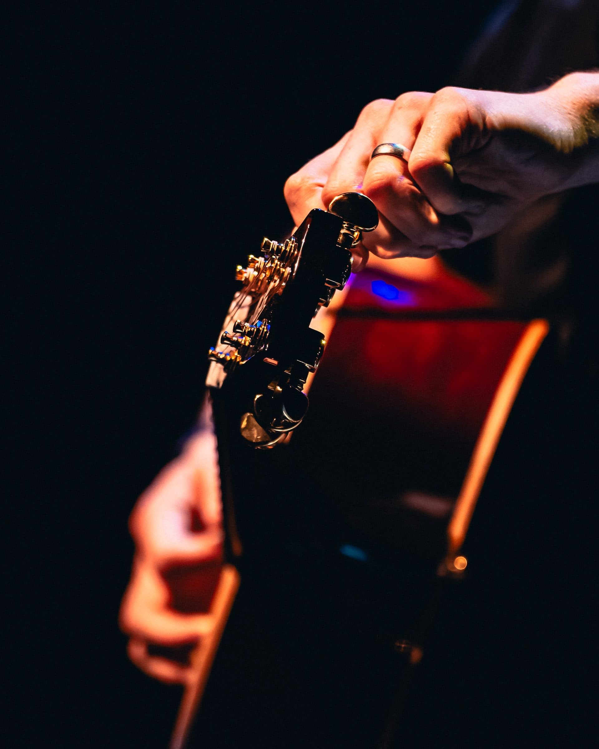 Michael Paynter, live, frame 9