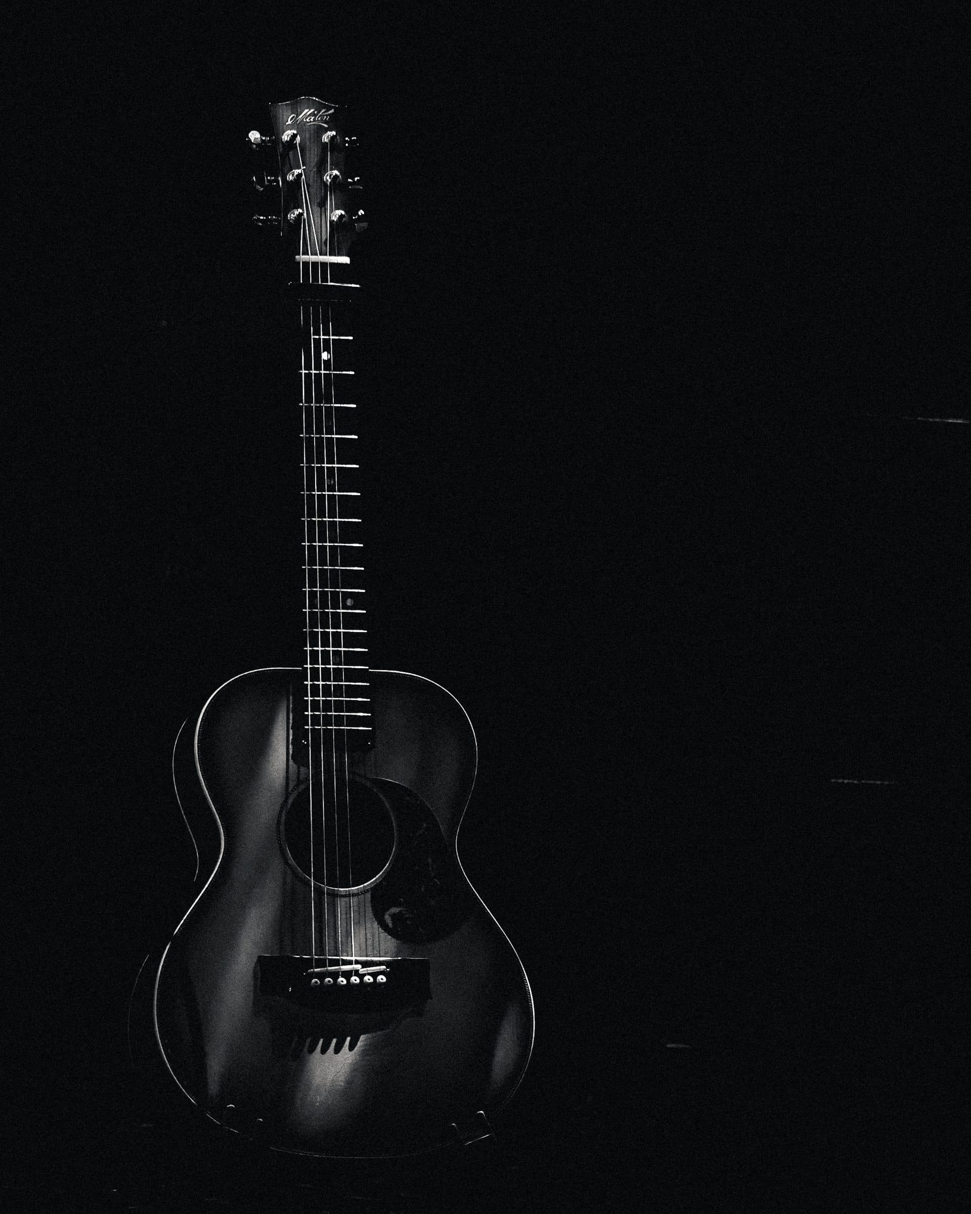 Michael Paynter, live, frame 11