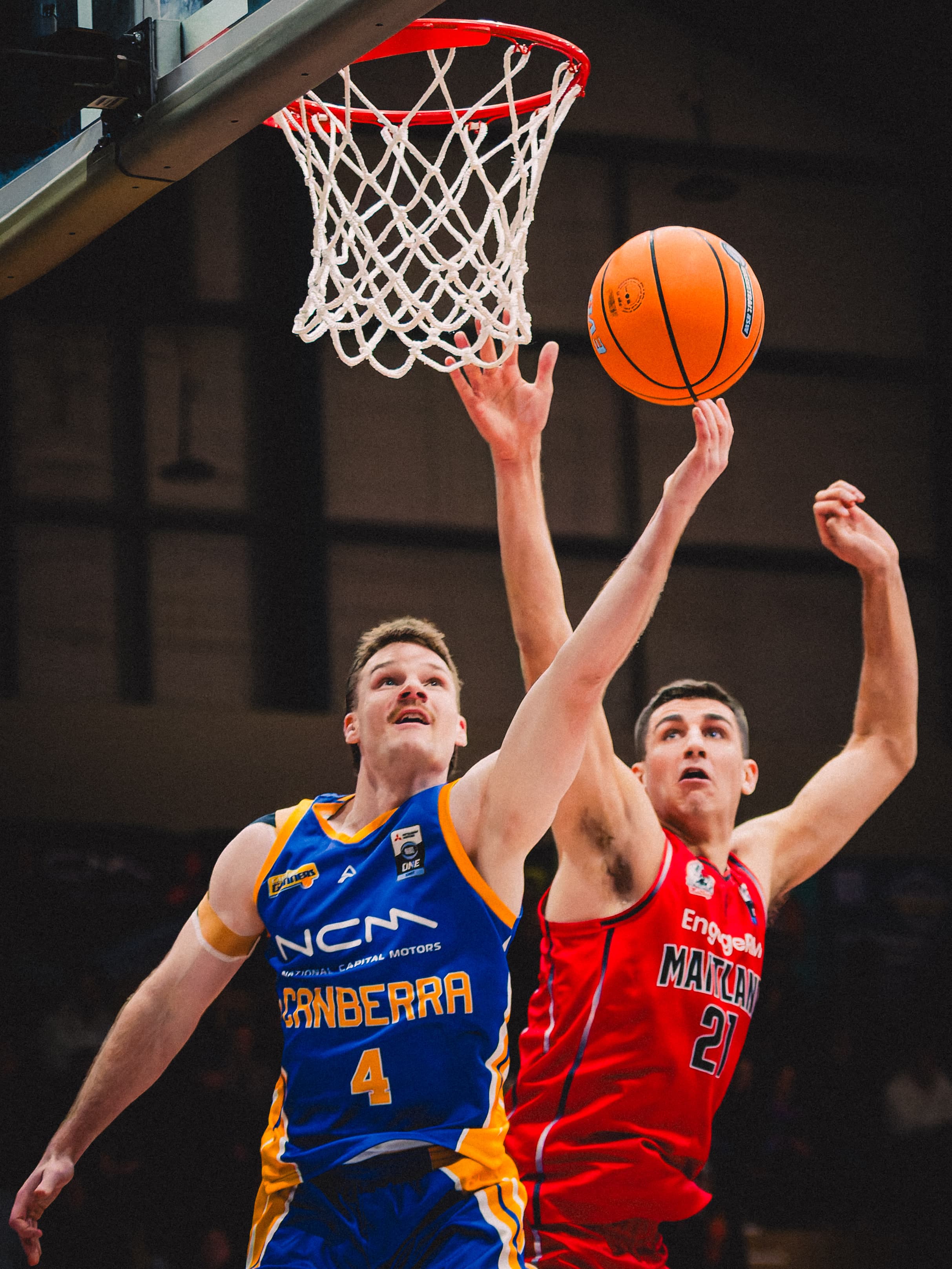 A Canberra Gunners guard lays the ball into the ring with a Maitland Mustangs defender chasing